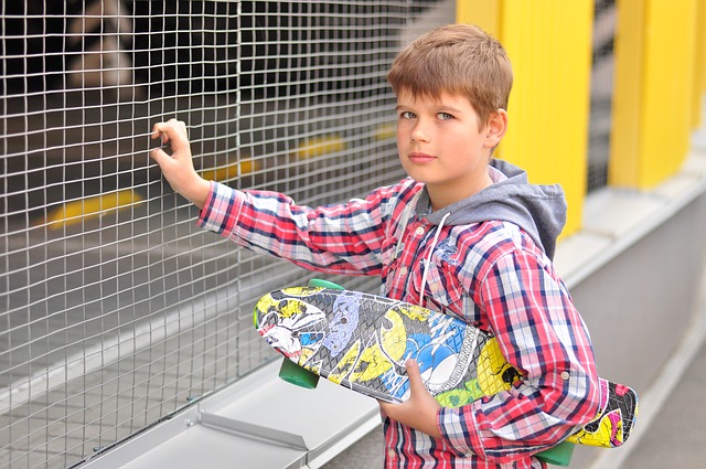skateboard