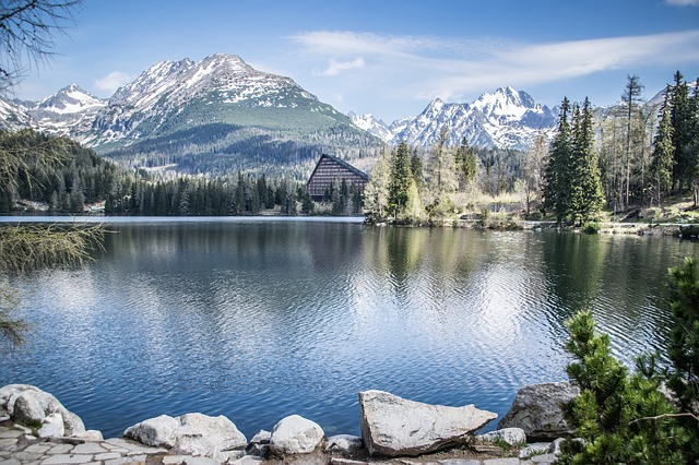 pleso