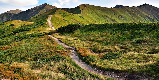 tatry
